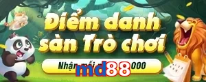 md88